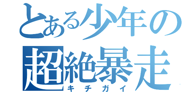 とある少年の超絶暴走（キチガイ）