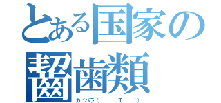 とある国家の齧歯類（カピバラ（　´  Ｔ  ｀））