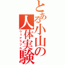 とある小山の人体実験（ウェアラブル）