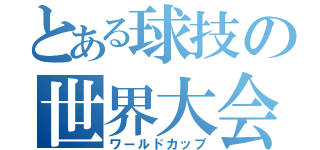 とある球技の世界大会（ワールドカップ）