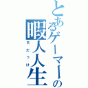 とあるゲーマーの暇人人生（Ｒだっけ）