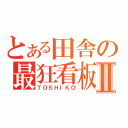 とある田舎の最狂看板娘Ⅱ（ＴＯＳＨＩＫＯ）