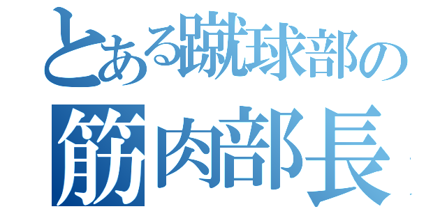 とある蹴球部の筋肉部長（）