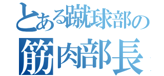 とある蹴球部の筋肉部長（）