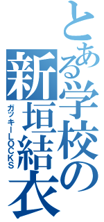 とある学校の新垣結衣（ガッキーＬＯＣＫＳ）