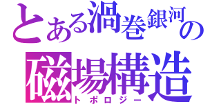 とある渦巻銀河の磁場構造（トポロジー）