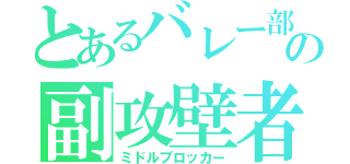 とあるバレー部の副攻壁者（ミドルブロッカー）