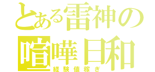 とある雷神の喧嘩日和（経験値稼ぎ）