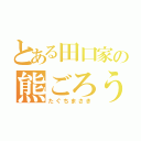 とある田口家の熊ごろう（たぐちまさき）