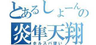 とあるしょーんの炎隼天翔（ホルスパ使い）