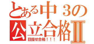 とある中３の公立合格Ⅱ（目指せ合格！！！）