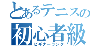 とあるテニスの初心者級（ビギナーランク）