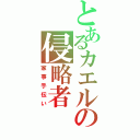 とあるカエルの侵略者（家事手伝い）