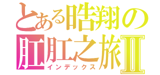 とある晧翔の肛肛之旅Ⅱ（インデックス）