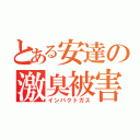 とある安達の激臭被害（インパクトガス）