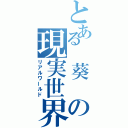 とある 葵 の現実世界（リアルワールド）