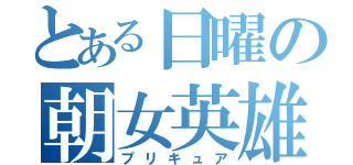 とある日曜の朝女英雄（プリキュア）