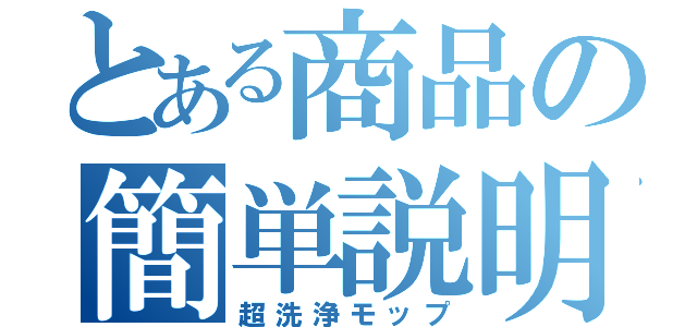 とある商品の簡単説明（超洗浄モップ）