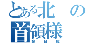 とある北の首領様（金日成）