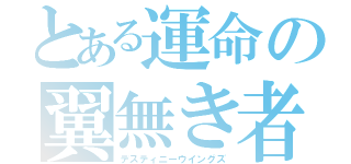 とある運命の翼無き者達（デスティニーウイングズ）