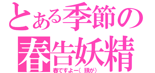 とある季節の春告妖精（春ですよー（頭が））