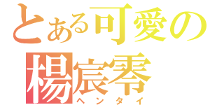 とある可愛の楊宸零（ヘンタイ）