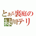 とある裏庭の緑川テリ王（）