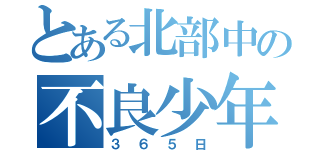 とある北部中の不良少年達の（３６５日）