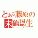 とある藤原の未確認生物（ユーマ）