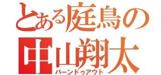 とある庭鳥の中山翔太（バーンドゥアウト）