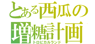 とある西瓜の増糖計画（トロピカルランド）