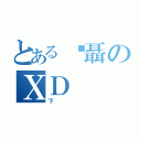 とある吳聶のＸＤ（下）