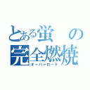 とある蛍の完全燃焼（オーバーロード）