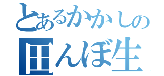 とあるかかしの田んぼ生活（）