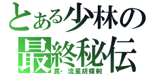 とある少林の最終秘伝（真・流星胡蝶剣）