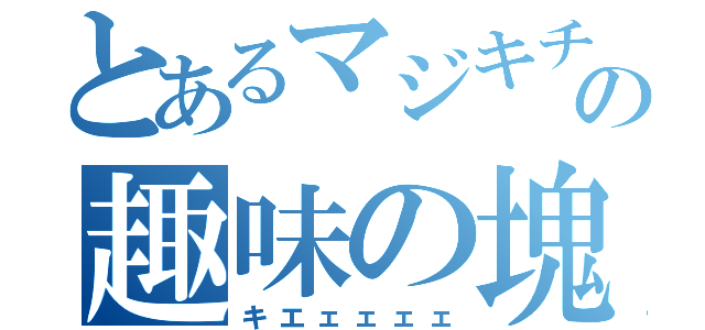 とあるマジキチの趣味の塊（キエェェェェ）