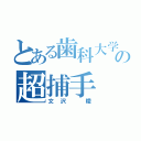 とある歯科大学の超捕手（文沢 陵）