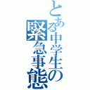 とある中学生の緊急事態（）