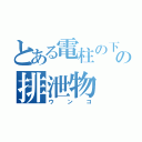 とある電柱の下の排泄物（ウンコ）