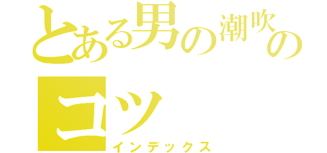 とある男の潮吹きのコツ（インデックス）