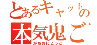 とあるキャットの本気鬼ごっこ（がちおにごっこ）