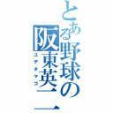 とある野球の阪東英二（ユデタマゴ）