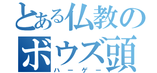 とある仏教のボウズ頭（ハーゲー）