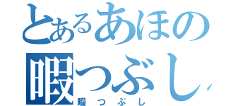 とあるあほの暇つぶし（暇つぶし）