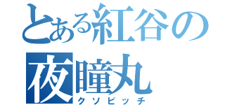 とある紅谷の夜瞳丸（クソビッチ）