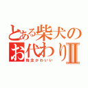 とある柴犬のお代わり練習Ⅱ（残念かわいい）