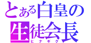 とある白皇の生徒会長（ヒナギク）