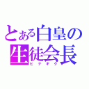 とある白皇の生徒会長（ヒナギク）