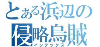 とある浜辺の侵略烏賊娘（インデックス）