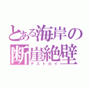 とある海岸の断崖絶壁（デストロイ）